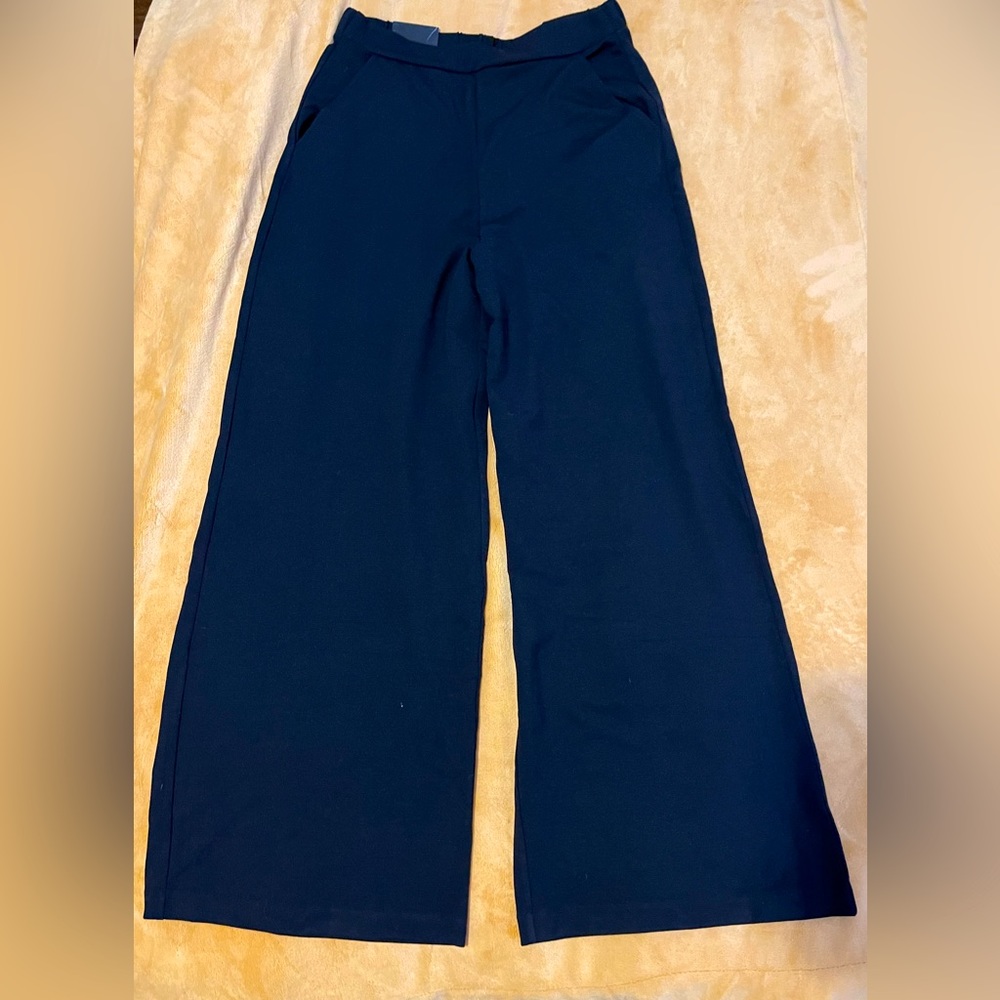 NWT Banana Republic Wide Leg pants.